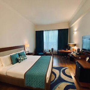 Imperial Double King Larger Guest room 1 King